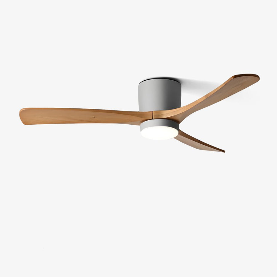 Ventilateurs de plafond