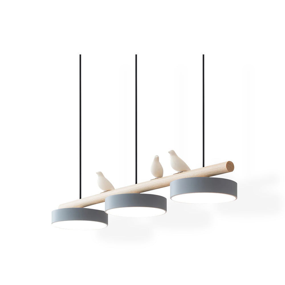Cliff Suspension Oiseau - image 25 | Maison Opale