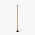 Ray Simple Linéaire LED Lampadaire Or Noir Métal Gel de Silice Salon Chambre - image 1 | Maison Opale