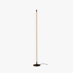 Ray Simple Linéaire LED Lampadaire Or Noir Métal Gel de Silice Salon Chambre - image 1 | Maison Opale